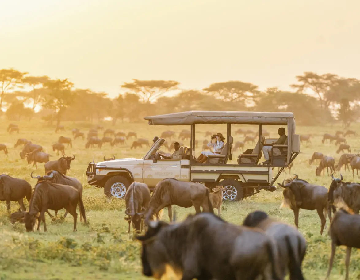 Kenya & Seychelles - Luxury Safari & Island Retreat